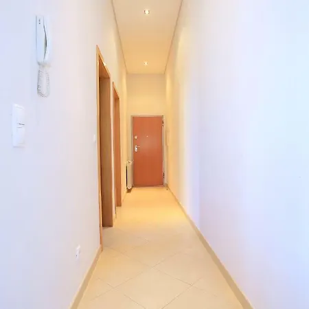 Bright Luxury Apartment 公寓 维亚纳堡